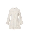 Amberg Lace Mini Dress
